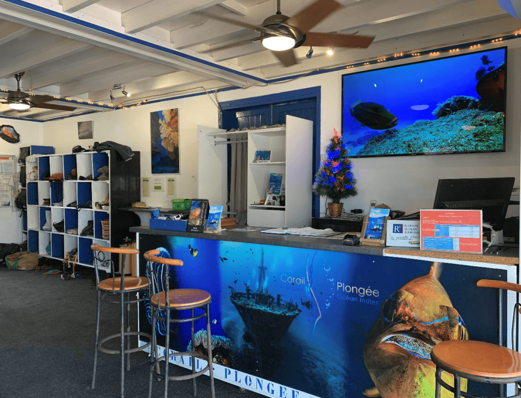 About Us Diving In Reunion Island With Corail Plongee