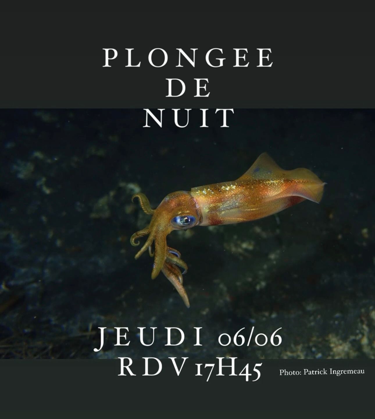 Calmar sous-marin avec texte "Plongée de nuit, Jeudi 06/06 RDV 17H45".