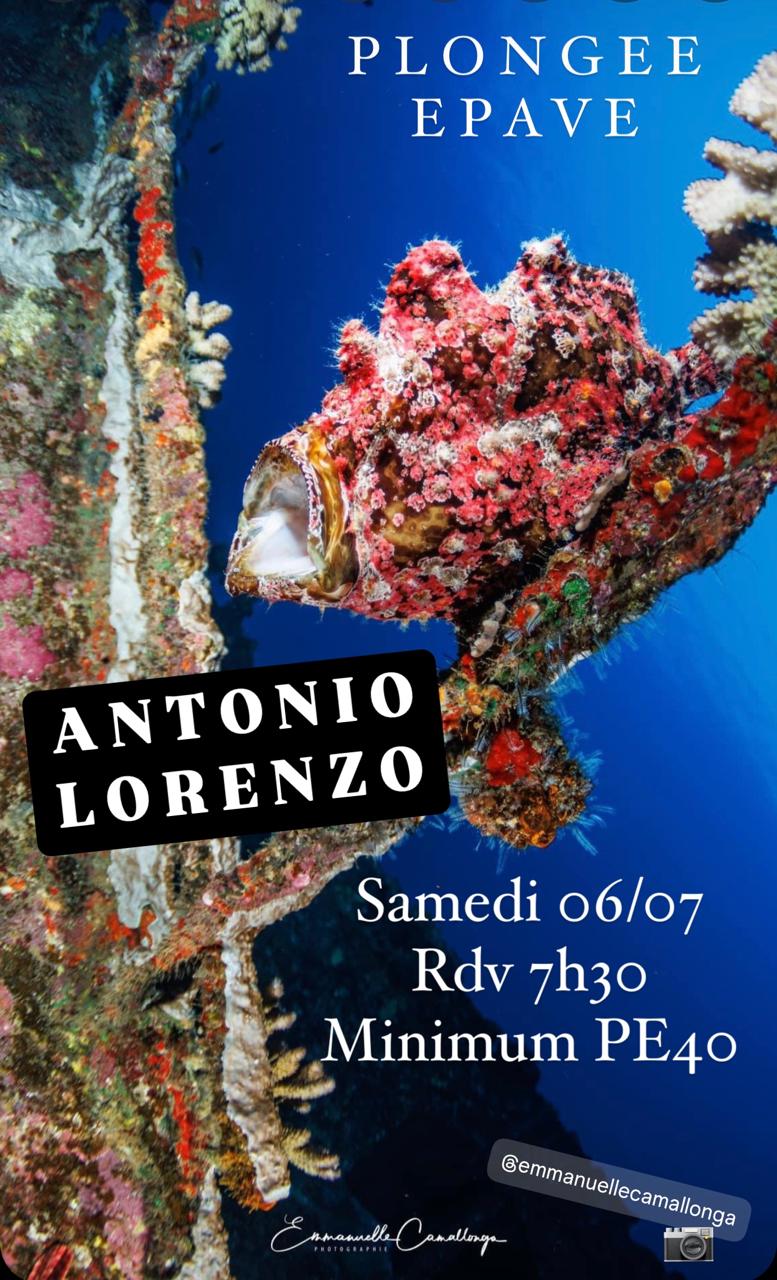 Poisson coloré sur épave avec texte informatif en surimpression.