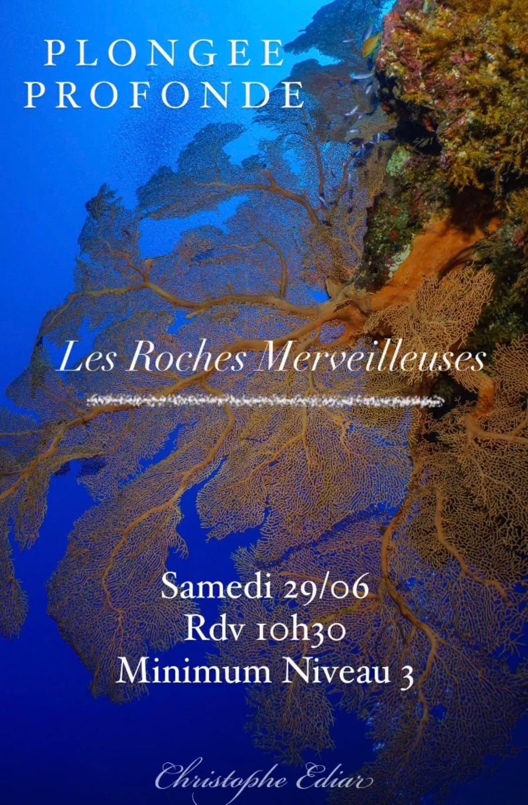 Affiche de plongée sous-marine avec corail, événement "Les Roches Merveilleuses", 29/06, niveau 3 requis.