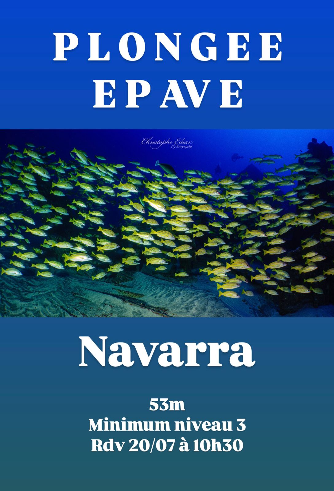 Affiche de plongée épave "Navarra" avec banc de poissons jaunes.