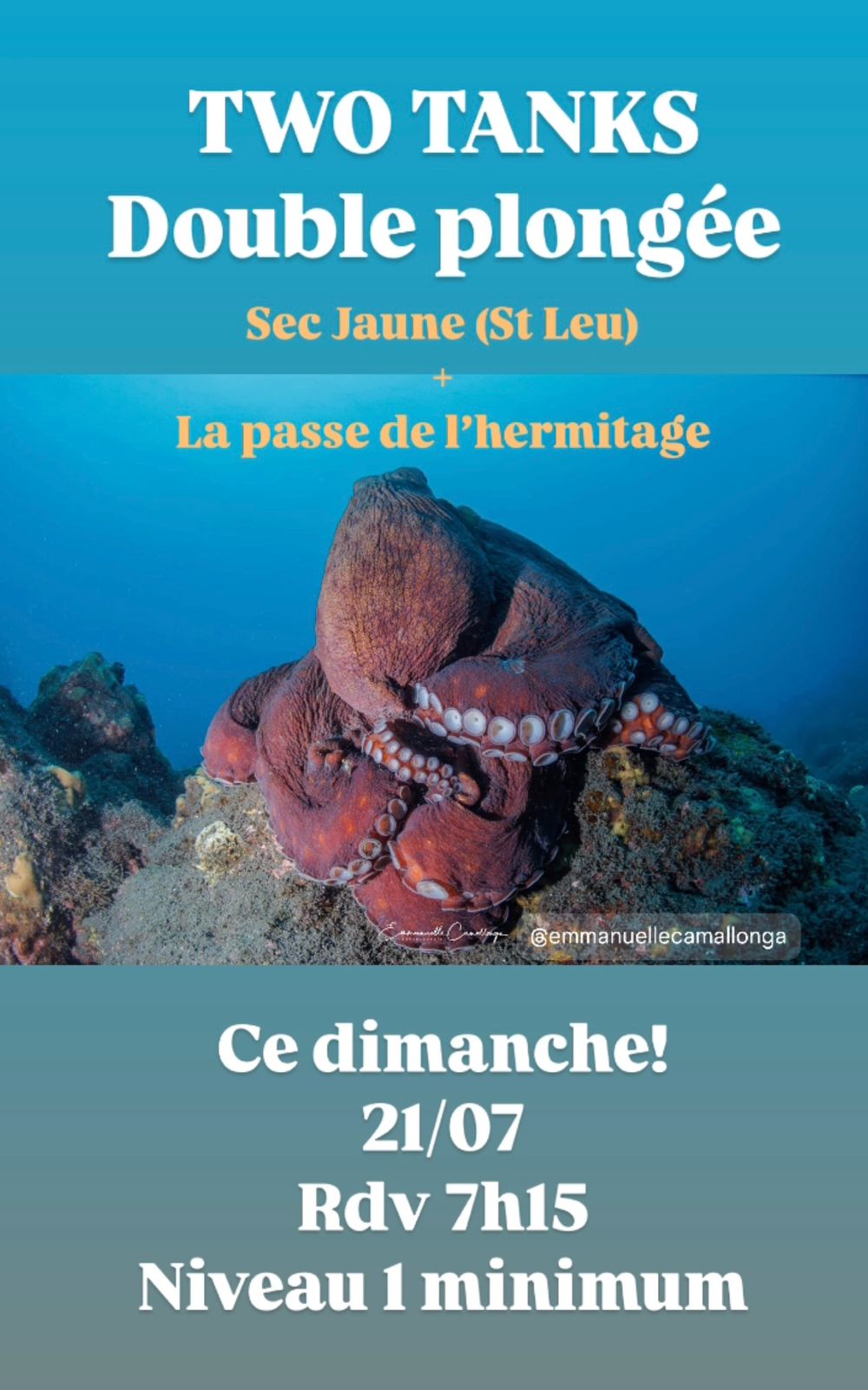 Affiche d'événement de plongée avec une pieuvre et détails du rendez-vous.
