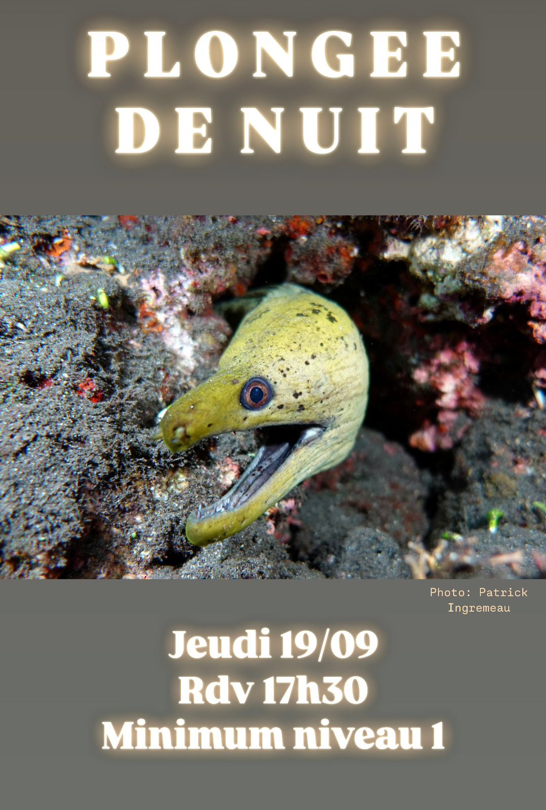 Affiche de plongée de nuit avec une murène et détails de l'événement.