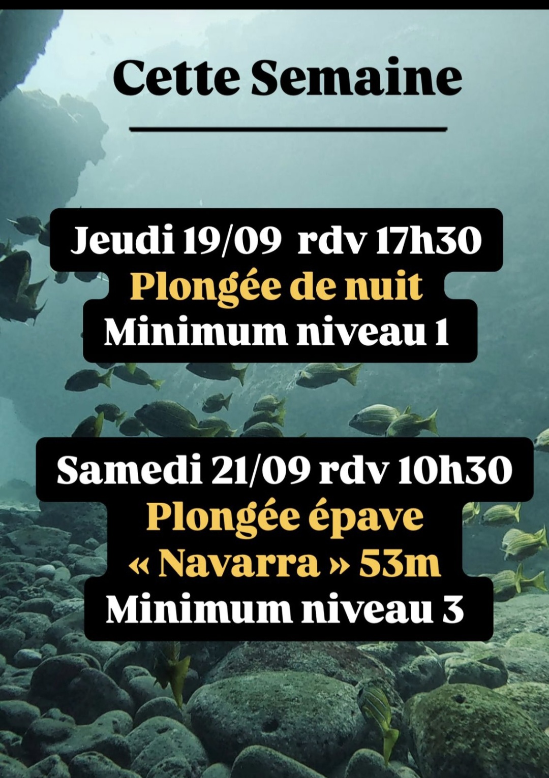 Plongées prévues cette semaine : nuit et épave "Navarra".