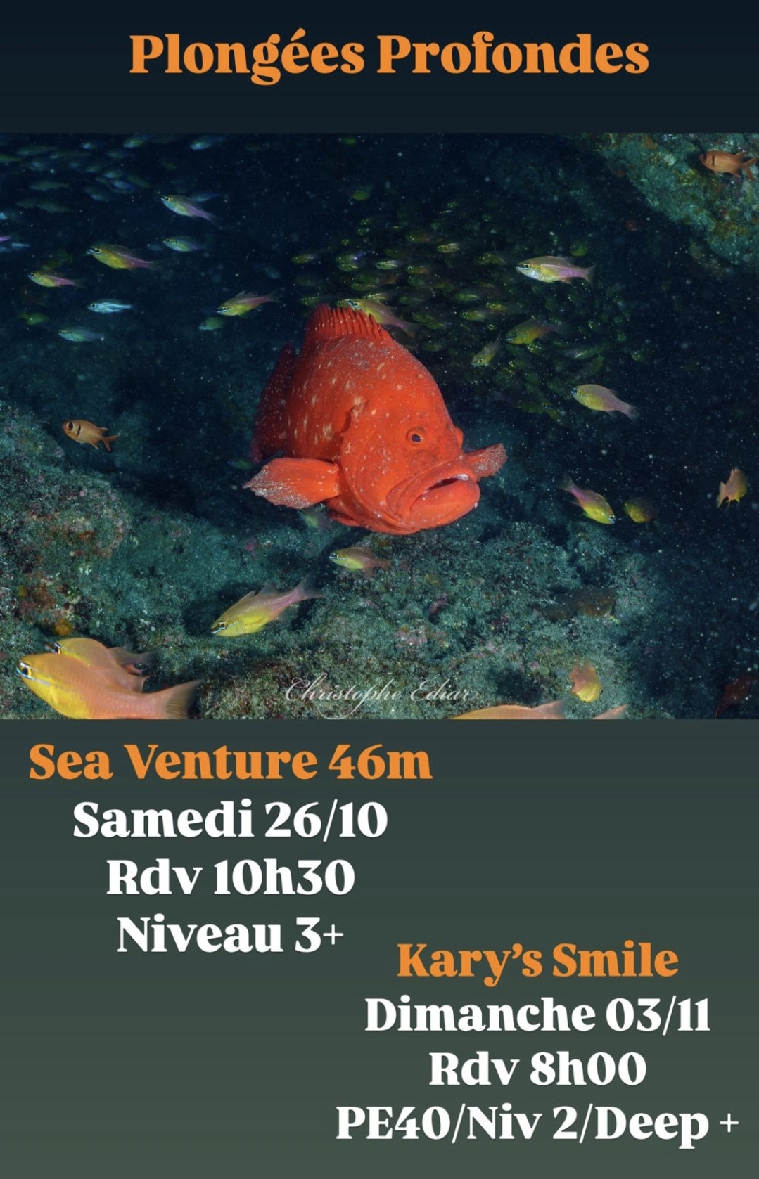 Plongée sous-marine avec poisson rouge et détails des événements de plongée à venir.