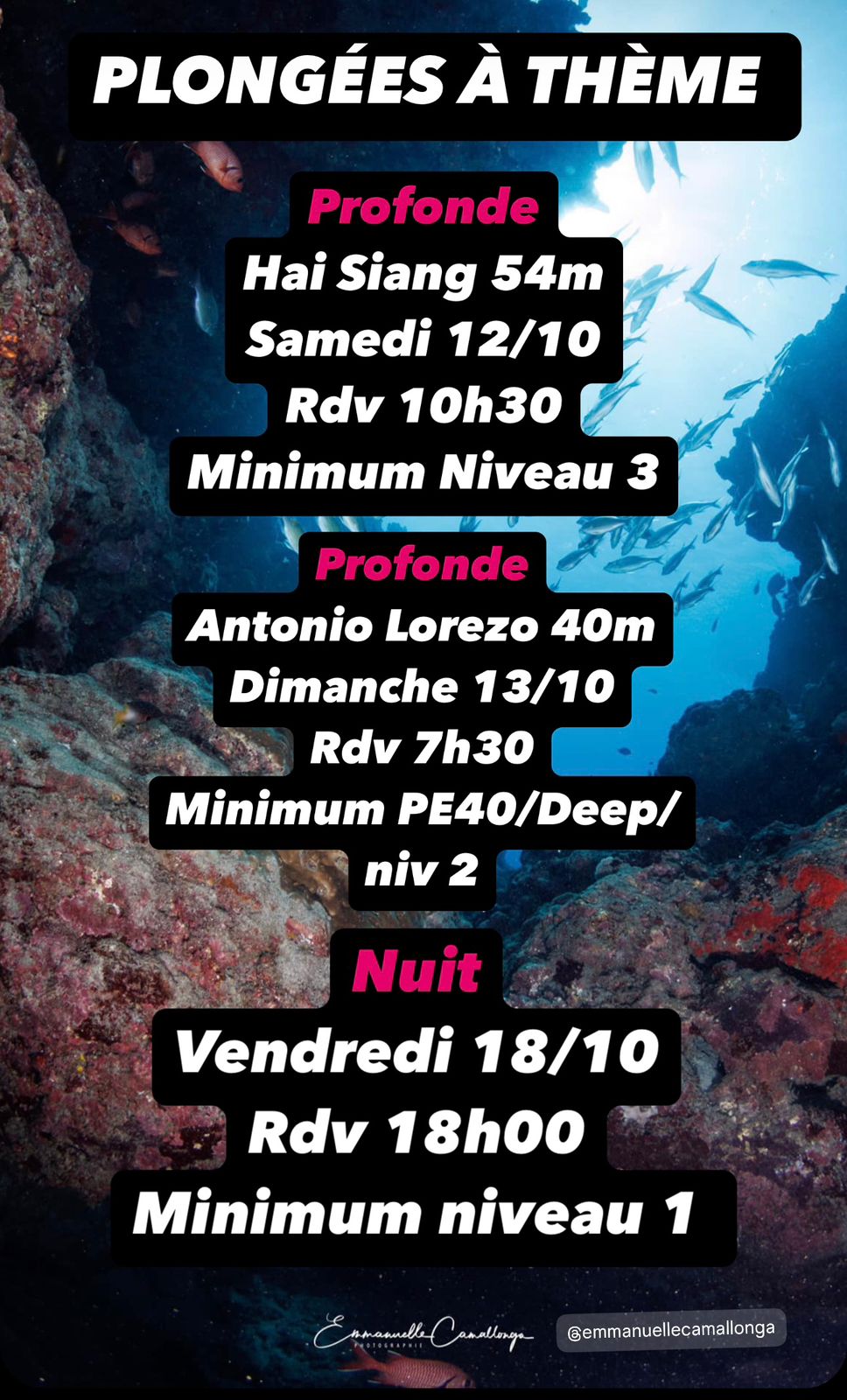 Affiche d'activités de plongée avec dates, horaires et niveaux requis.