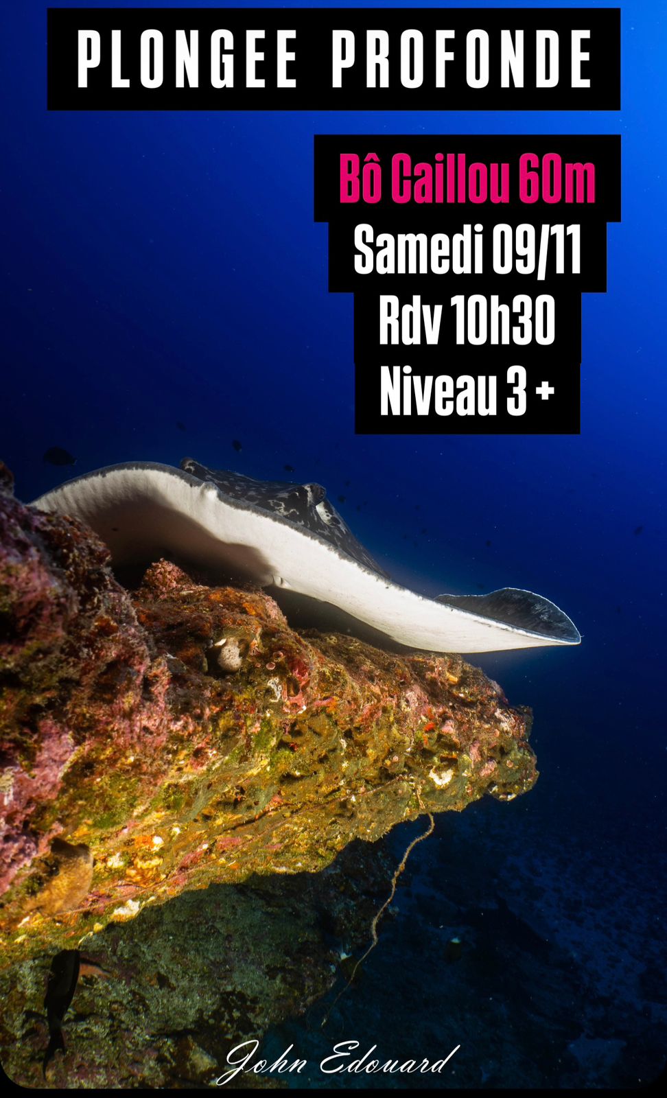 Raie nageant près d'un récif avec texte d'une annonce de plongée profonde.