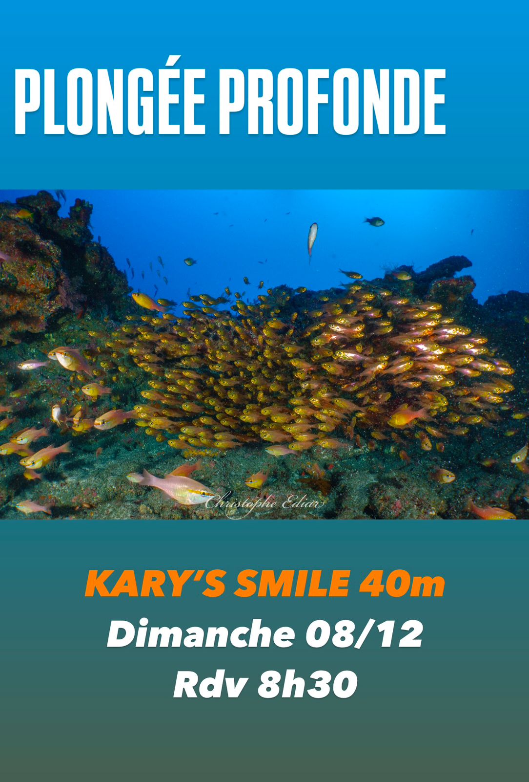 Banc de poissons sous l'eau avec texte sur une plongée à 40m.
