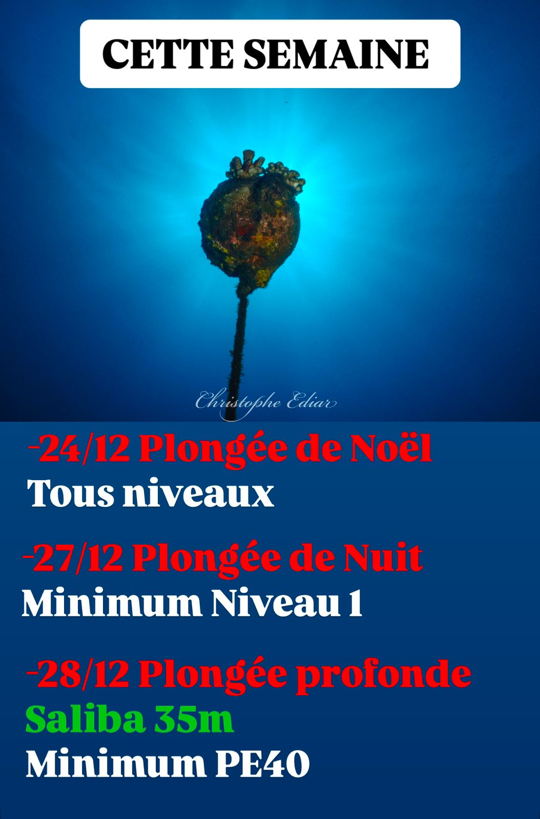 Calendrier de plongées de Noël et nuit, niveaux requis indiqués.