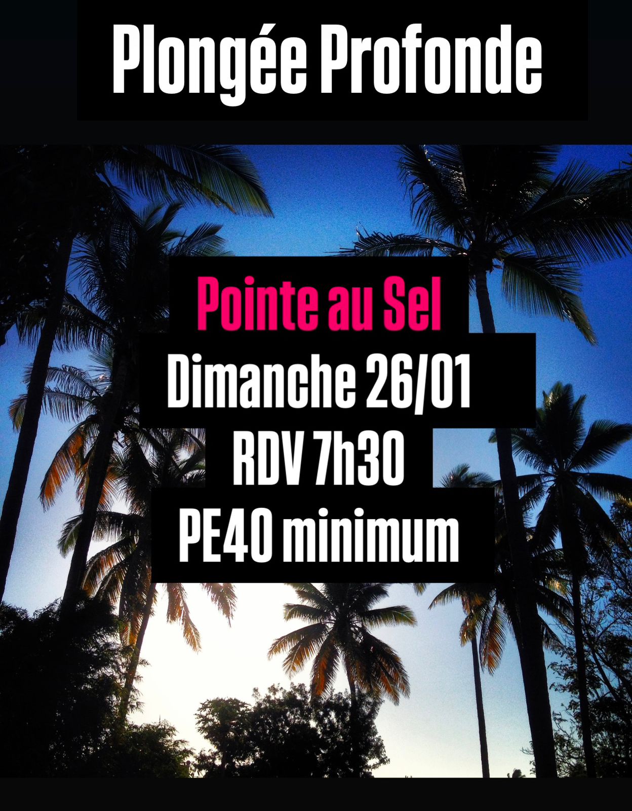 Affiche de plongée avec palmiers, date et heure de rendez-vous.
