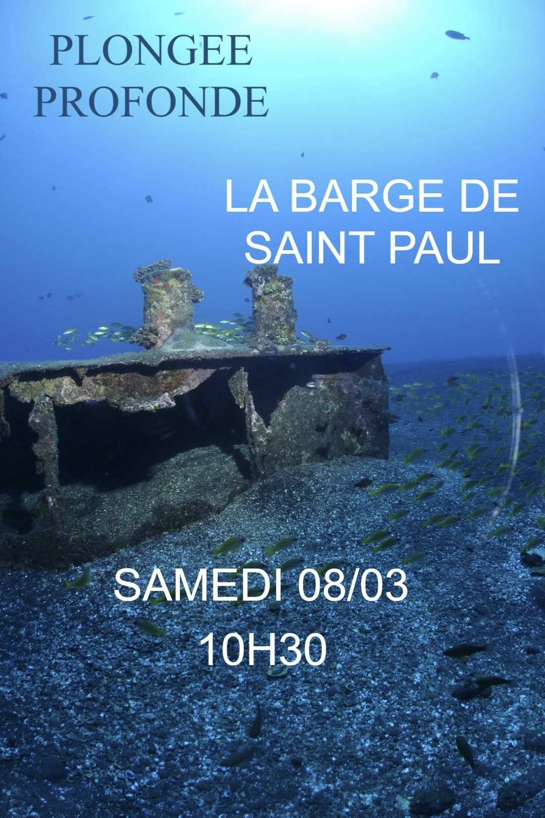 Épave sous-marine entourée de poissons, événement "Plongée Profonde" le 08/03 à 10h30.