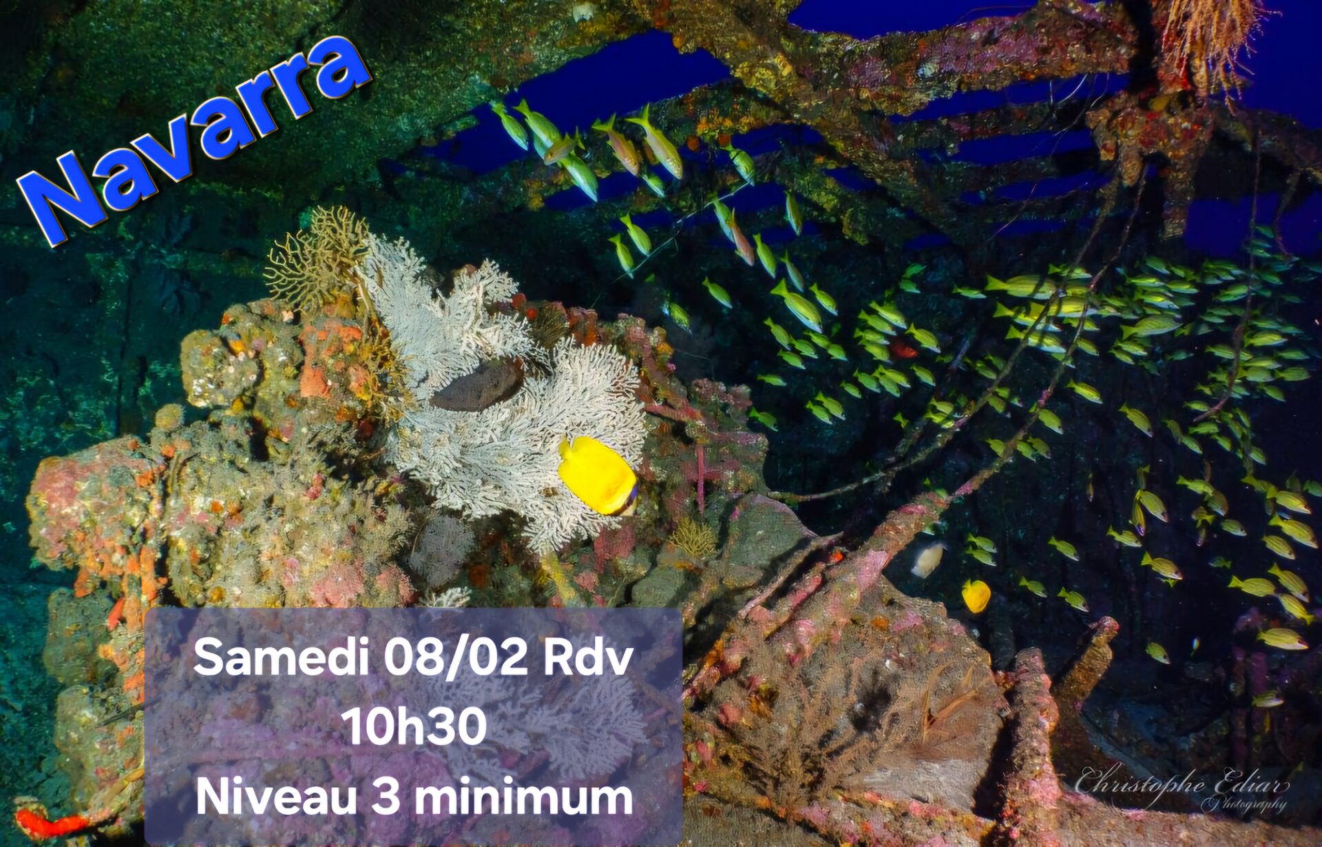 Plongée sous-marine avec coraux, poissons et texte d'événement.