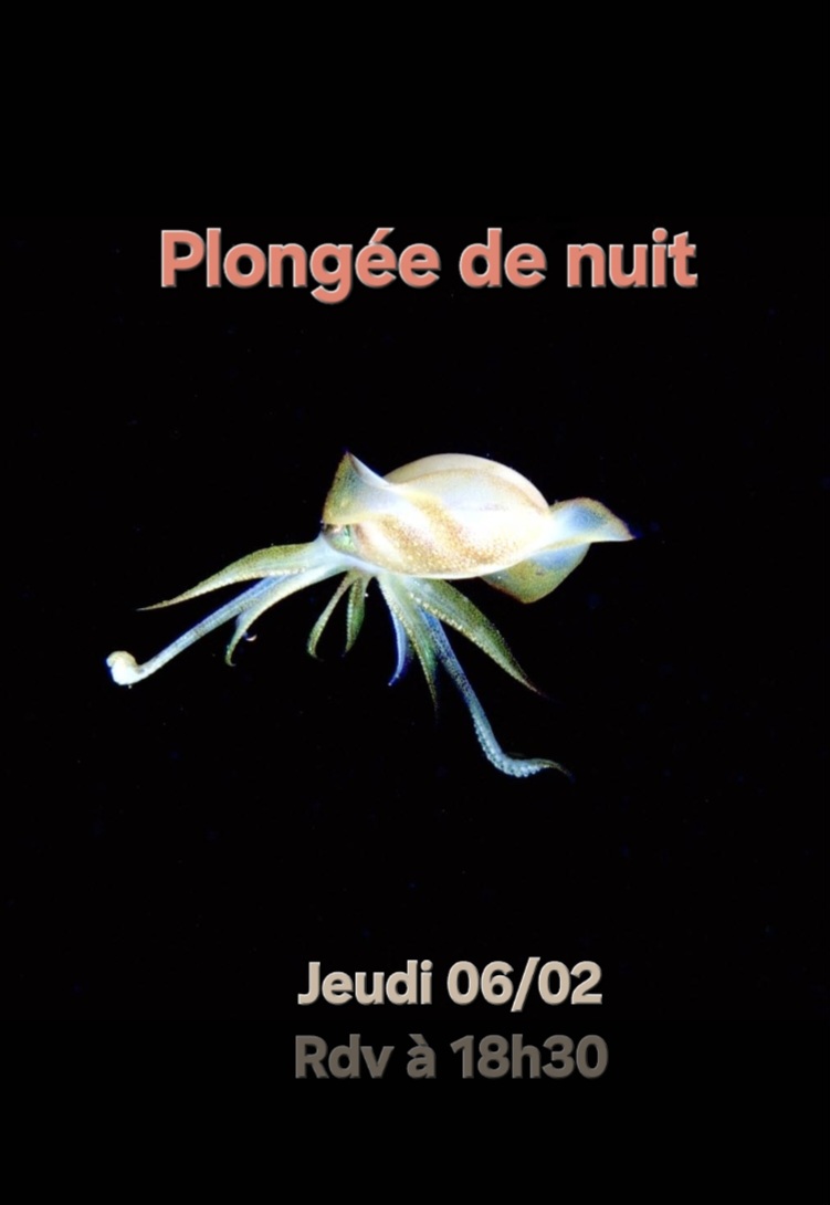Calmar lumineux sur fond noir avec texte "Plongée de nuit, Jeudi 06/02, Rdv à 18h30".