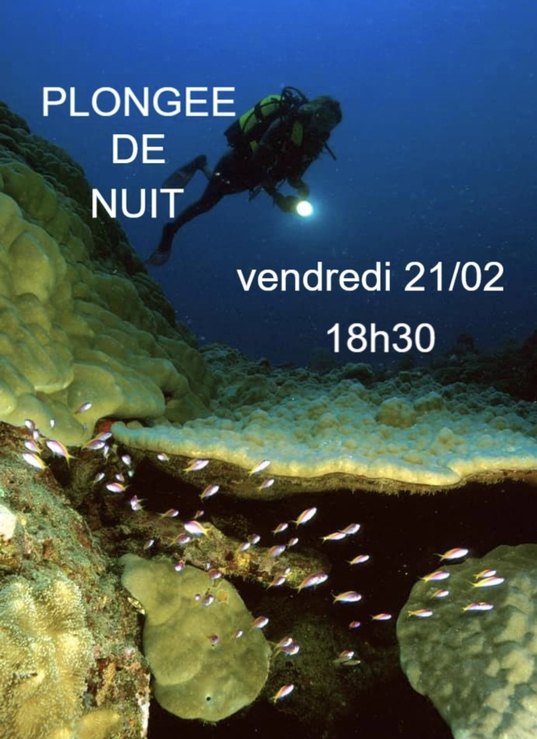 Plongeur de nuit avec lampe, poissons, coraux, texte "Plongée de nuit" et date.