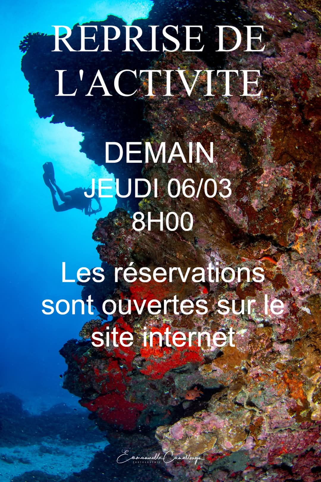 Plongeur et récif corallien avec texte annonçant la reprise d'activité.