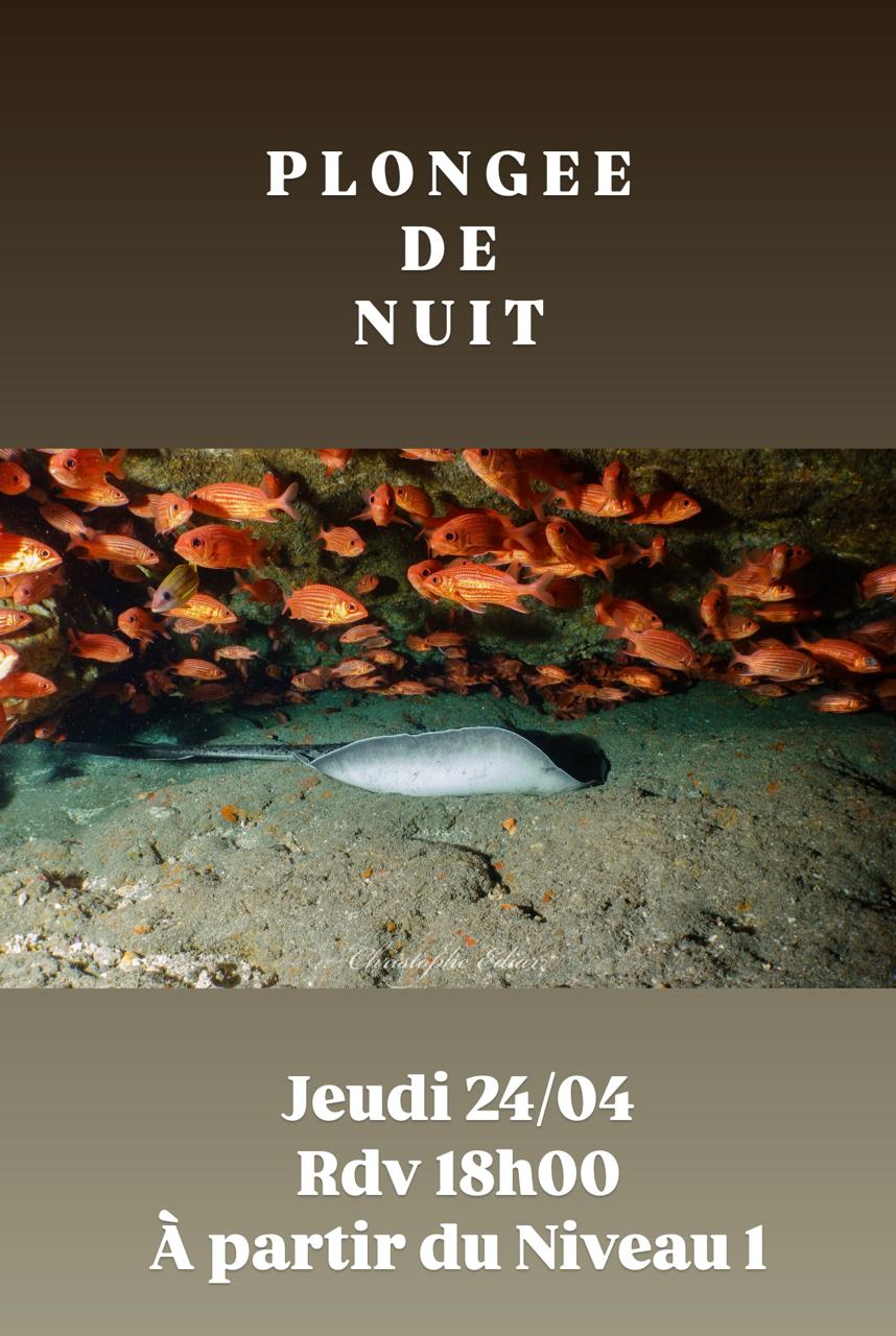 Annonce de plongée de nuit avec poissons, raie et détails de l'événement.