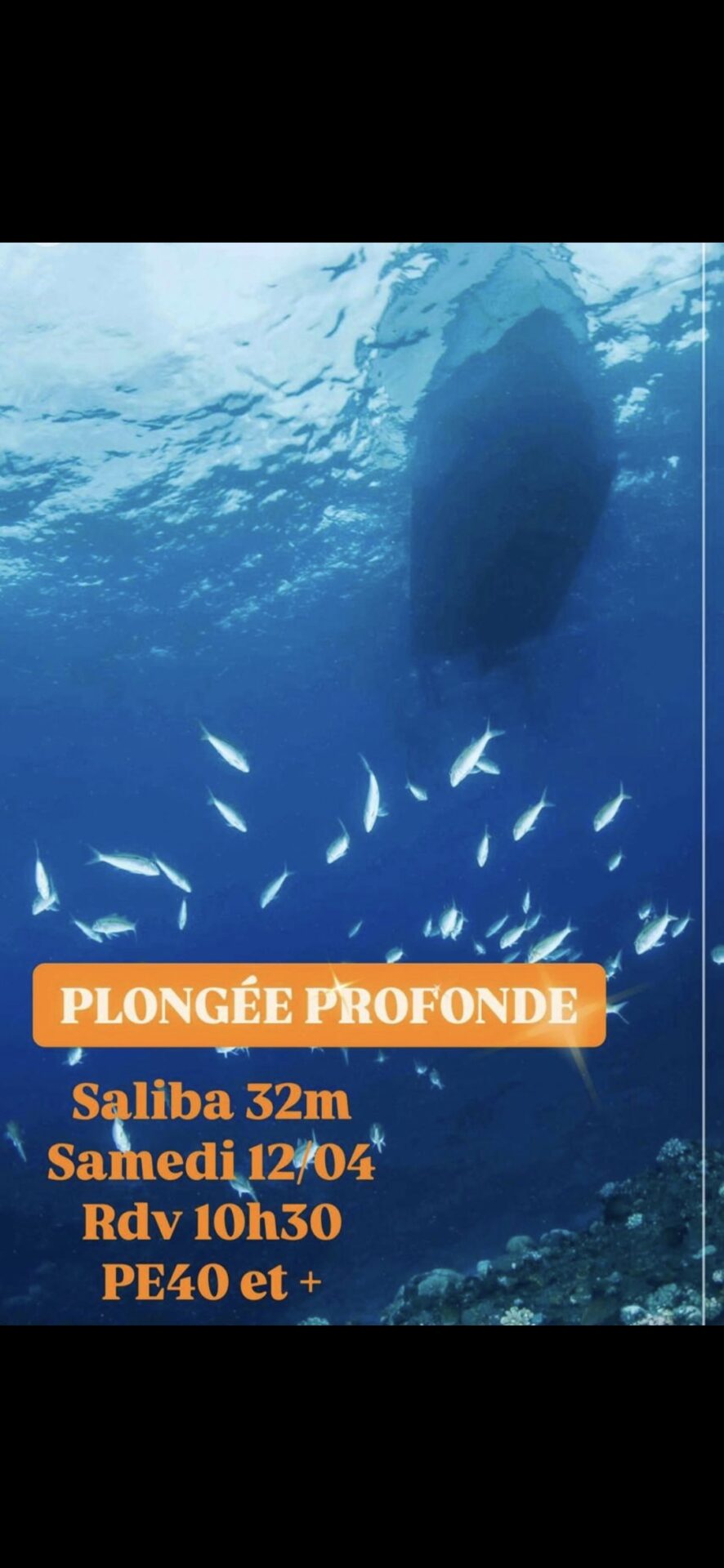 Plongée sous-marine avec poissons et informations sur une sortie plongée en profondeur.