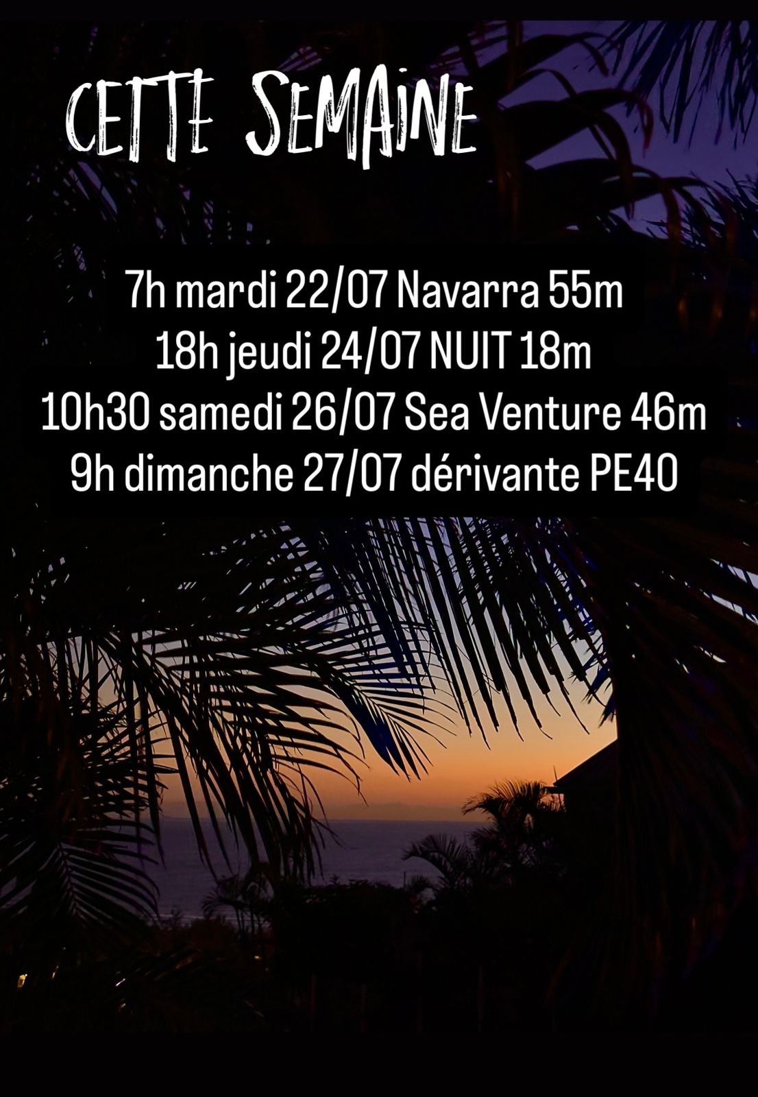 Programme hebdomadaire sur fond de coucher de soleil et palmiers.