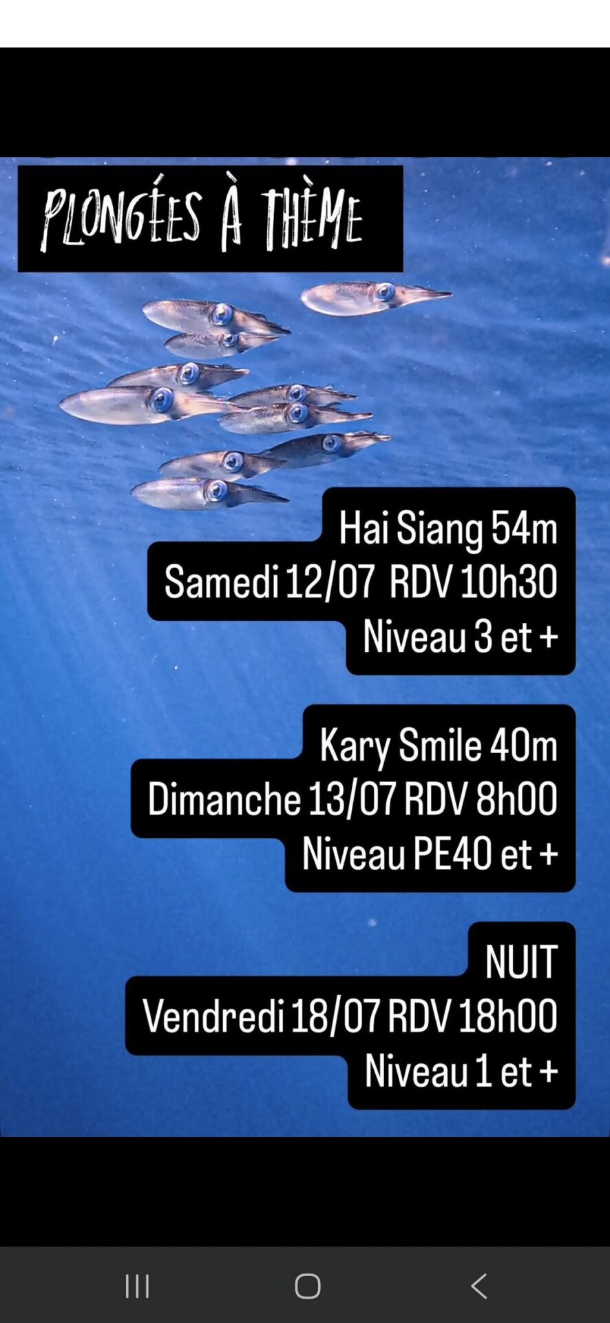 Calamars sous l'eau avec texte sur des plongées à thème et leurs détails.