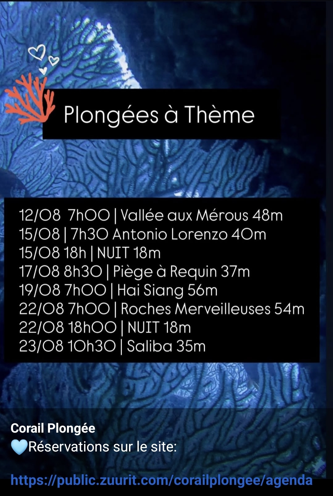 Calendrier des plongées à thème de Corail Plongée en août.