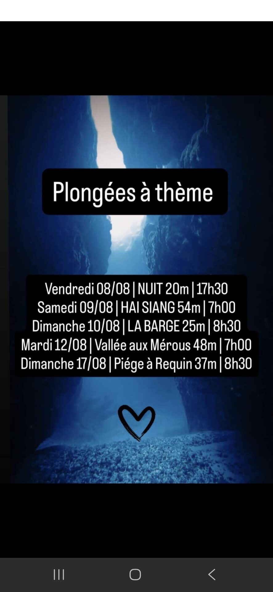 Programme de plongées à thème avec dates et profondeurs.